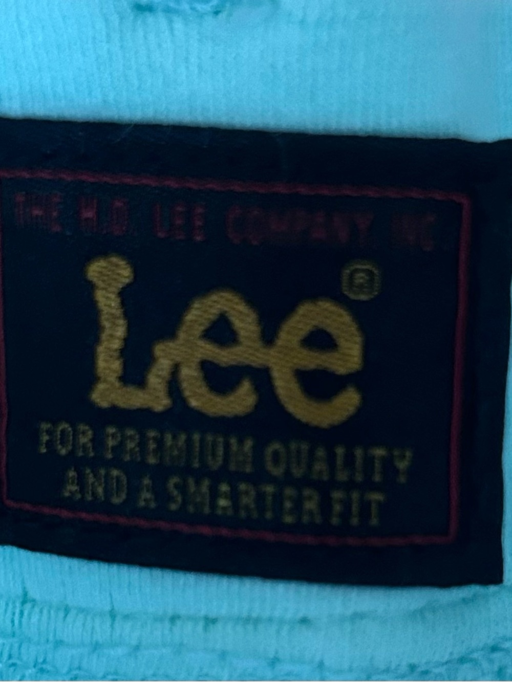 Lee Mint Green Cargo Pocket Shorts Size M - Picture 4 of 5